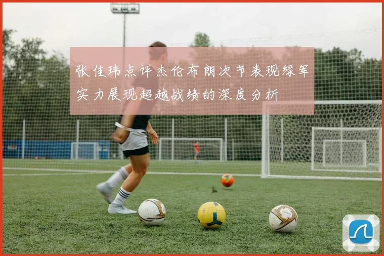 张佳玮点评杰伦布朗次节表现绿军实力展现超越战绩的深度分析