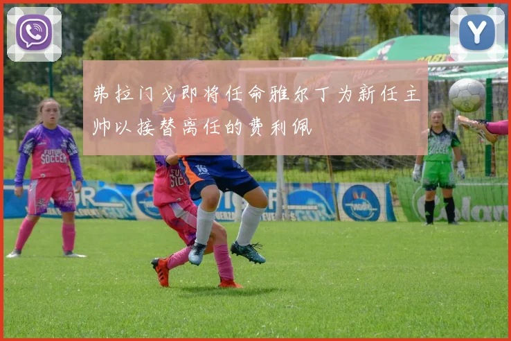 弗拉门戈即将任命雅尔丁为新任主帅以接替离任的费利佩