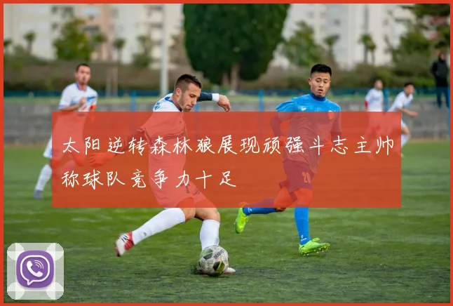 太阳逆转森林狼展现顽强斗志主帅称球队竞争力十足
